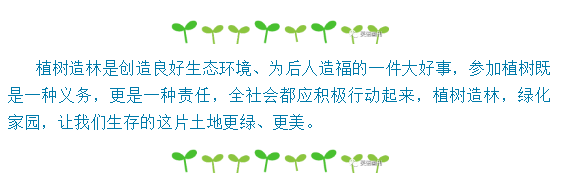 {21點}(关于保护环境的建议)